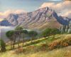 "Table Mountain From Signal Hill 2"