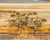 "Confusion at the Waterhole, Etosha Pan"