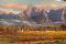 Autumn Comes to Boschendal, Franschhoek 