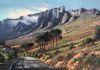 "Table Mountain's Iconic Cable Way"
