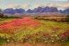"Cosmos at Vergelegen Somerset-Wes"