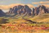 "Jonkershoek"
