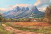 "Wine Farm Under the Helderberg, Somerset-West"