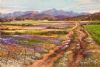 "Spring Flowers in the Biedouw Valley"