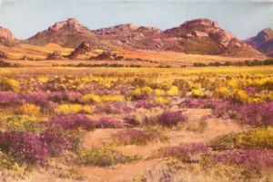 "Namaqualand Spring"