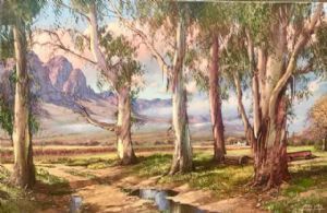 "Bluegums Near Wolseley"