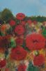 "Poppy and the Blue Sky"