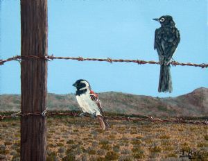 "Sitting On A Fence 2"