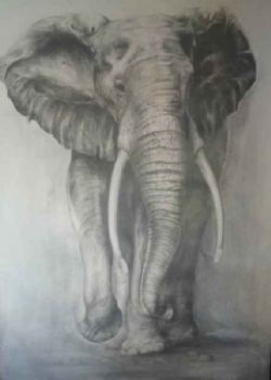 "Elephant"