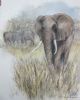 "Elephant"