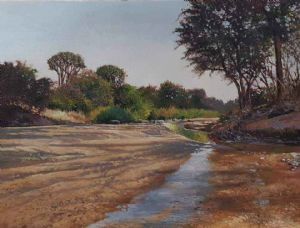 "Ruaha Wilderness 3"