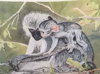 "Monkey Business "