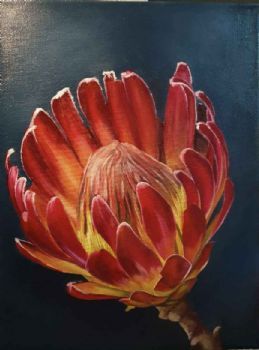 "Protea"