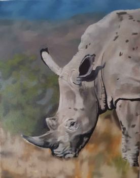 "White Rhino"