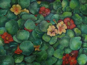 "Nasturtiums"