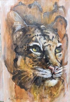 "Into the Wild 1"