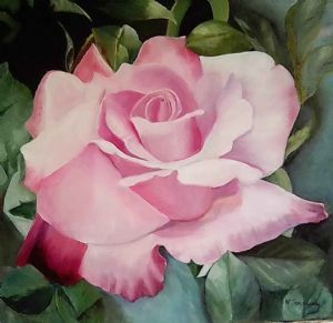 "Classical Rose"