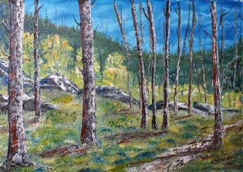 "Old Trees ..."