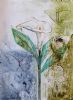 "Our Arum Lily and Visiting Flutterers"