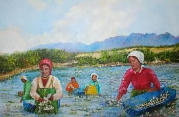 "Waterblommetjie Pickers"