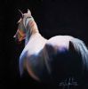 "1 The Grey Arabian Mare - Akila"