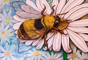 "Bee on Daisy flower"