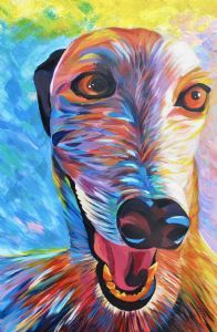 "Greyhound In Colour"