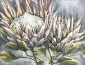 "Protea Twins"