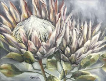 "Protea Twins"