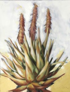 "Aloe "