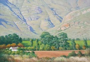 "Sunbathed Slopes, Stellenbosch Mountain"