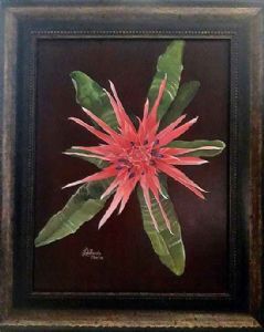 "Bromeliad "
