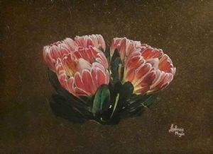 "Proteas"