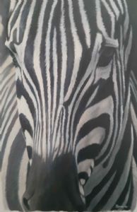 "Zebra Collection Nr 1"