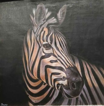 "Large Zebra Collection nr 3"