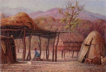 "Bushman Home"