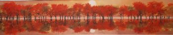 "Red Trees Reflection "