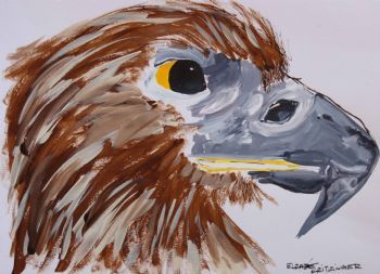 "Bird Of Prey"
