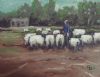 "Sheppherd"