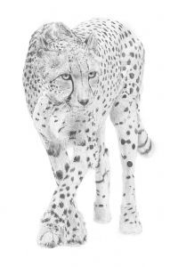 "On The Prowl"