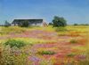 "Flowers Of Namaqualand"