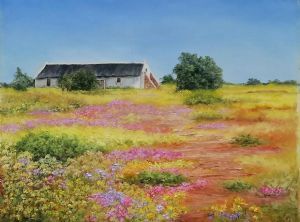 "Flowers Of Namaqualand"