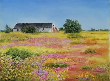 "Flowers Of Namaqualand"