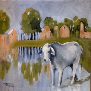 "Contemplative Cow"