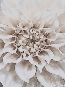 "Dahlia Cream"