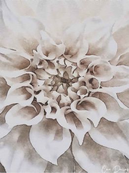 "Dahlia Cream"