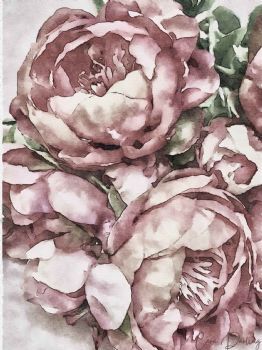 "Roses Blossom"