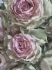 "Roses Two"
