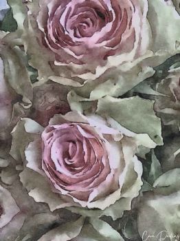 "Roses Two"