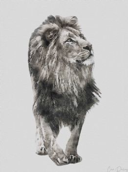 "Majestic Lion"